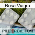 Pink Viagra 17